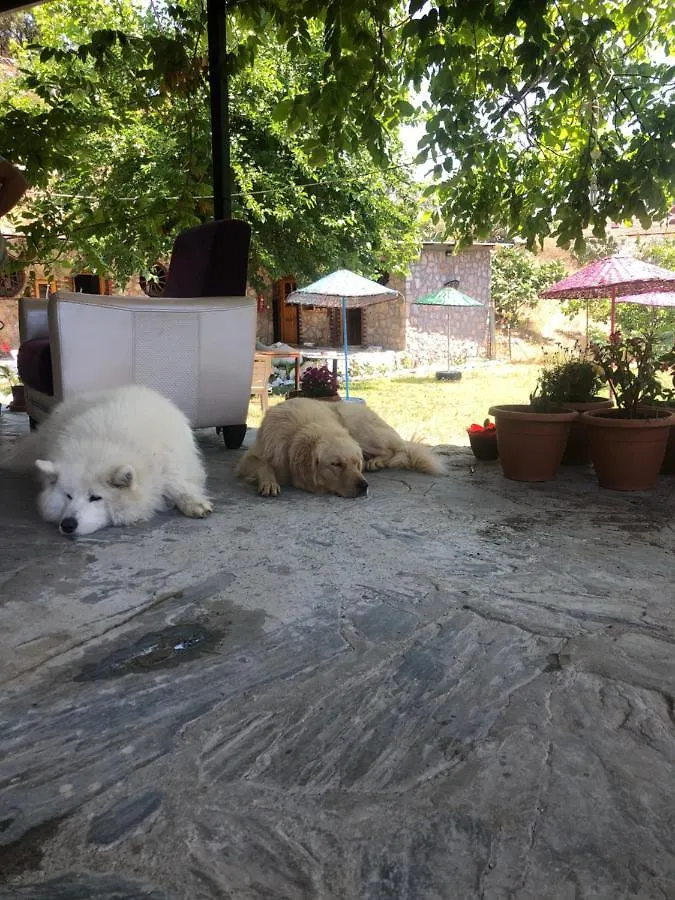 Zirkon Doğa Butik Otel Fethiye Oda ve Kahvaltı