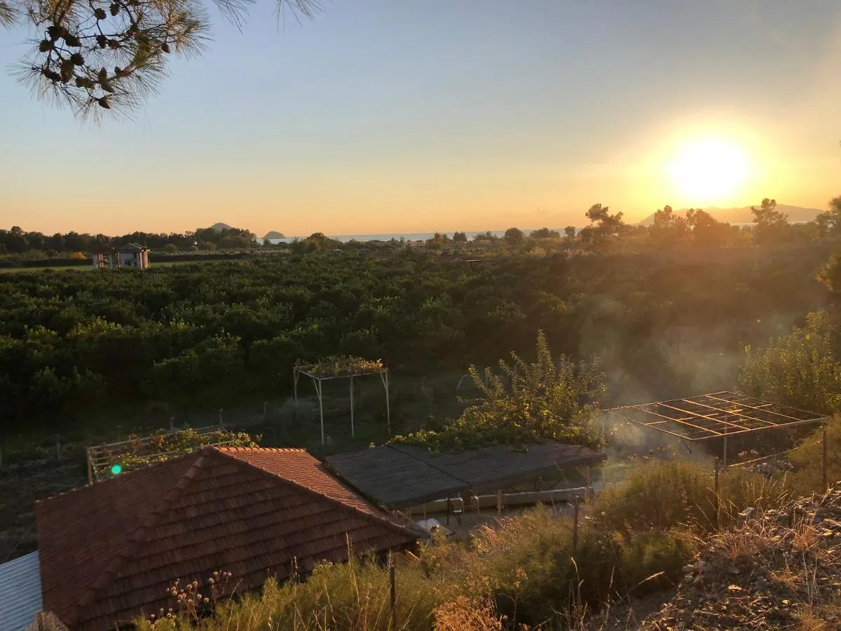 Zirkon Doğa Butik Otel Fethiye Oda ve Kahvaltı