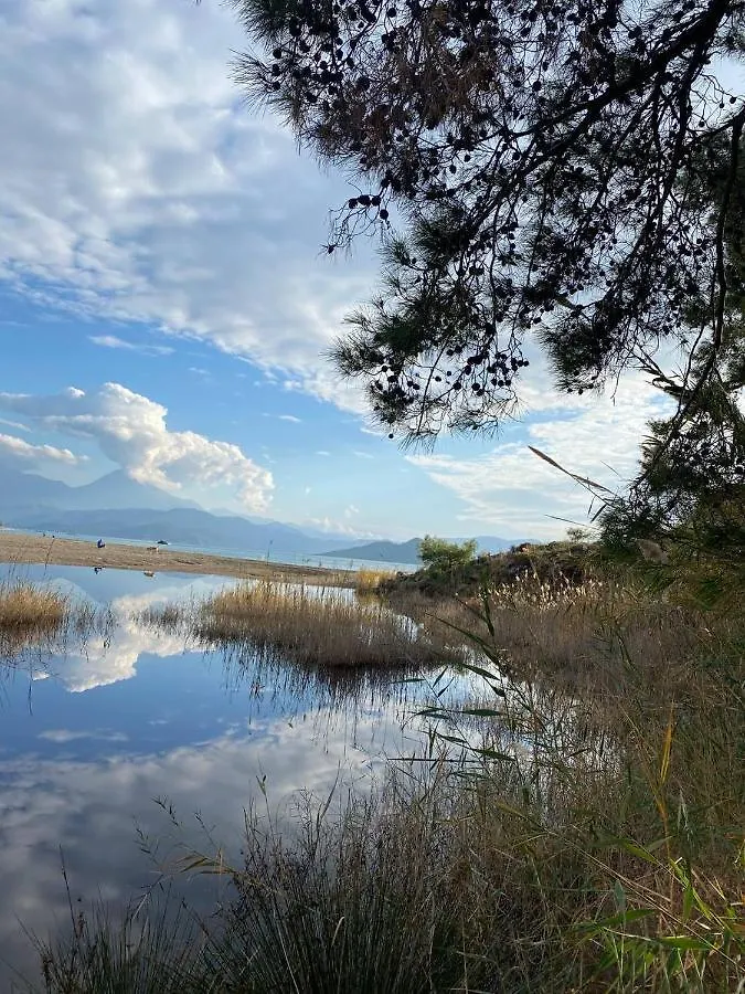 Zirkon Doğa Butik Otel Fethiye 0*,  Türkiye