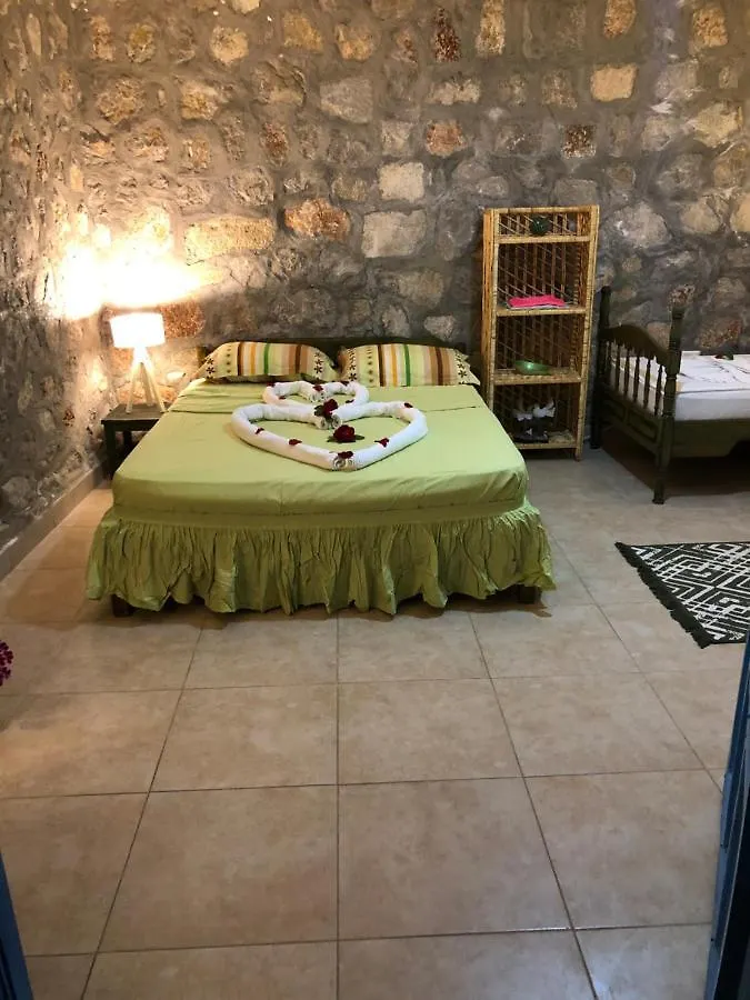 פאטהיה Zirkon Doga Butik Otel 0*,