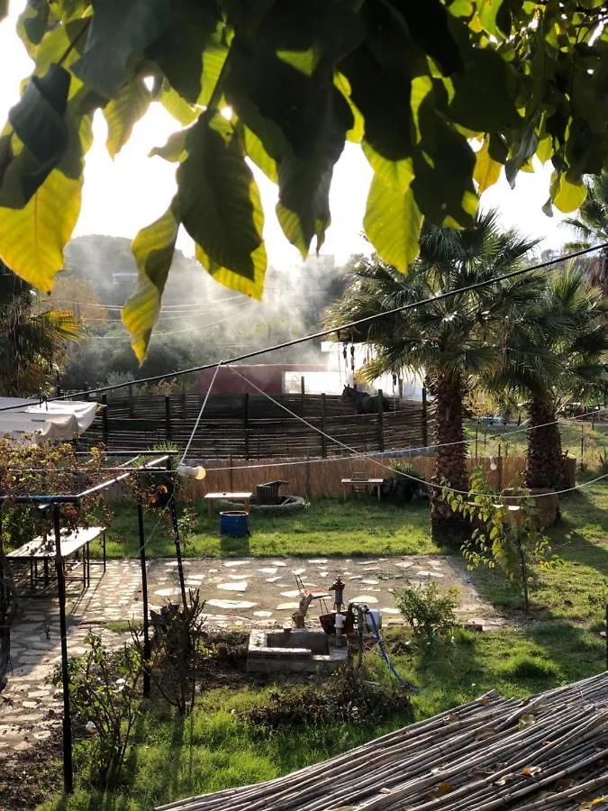 פאטהיה Zirkon Doga Butik Otel
